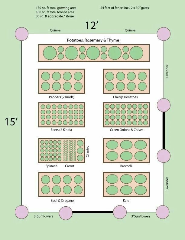 Расположение грядок на участке схема 6 Fun Cool Tips: Easy Vegetable Garden Herbs summer vegetable garden articles.Ve