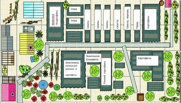 Расположение грядок на участке схема Планировка сада (36 фото): особенности оформления садового участка 10, 15 соток 