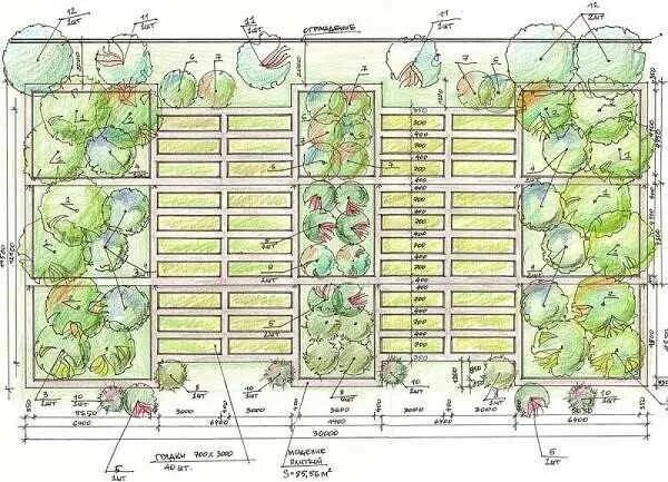 Расположение грядок схема Огород для ленивых и умных: как сделать удобные и урожайные грядки Огород, Озеле