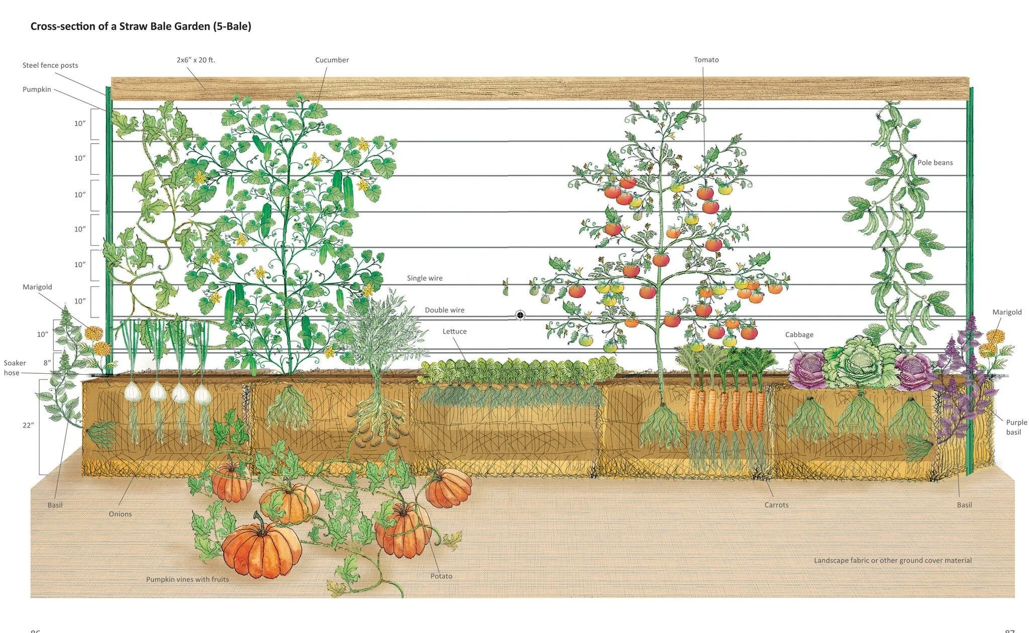 Расположение грядок схема Grasping at Straw: A Foolproof Vegetable Plot - The New York Times