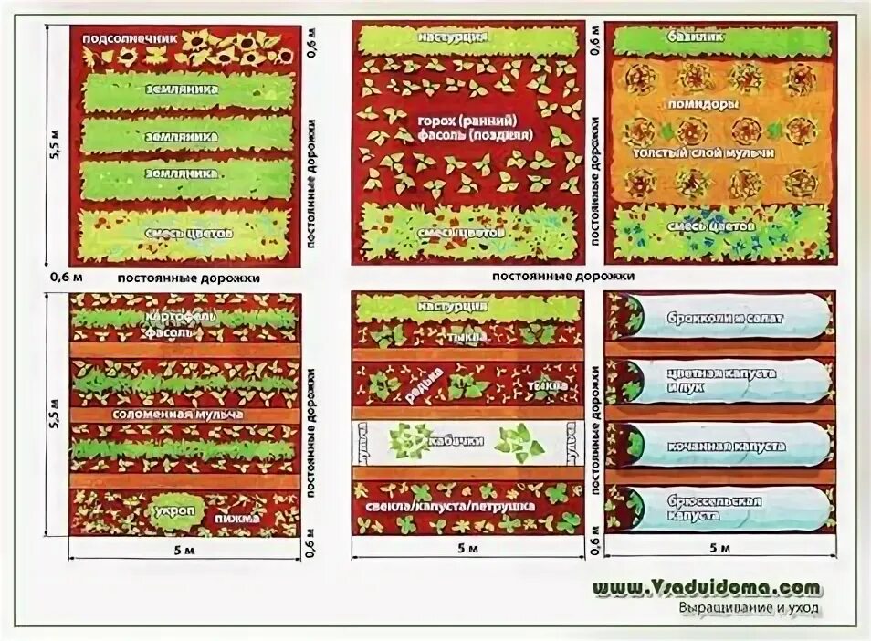 Расположение грядок схема Схема севооборота по правилу 6 грядок (+ ПЛАН) Сайт о саде, даче и комнатных рас