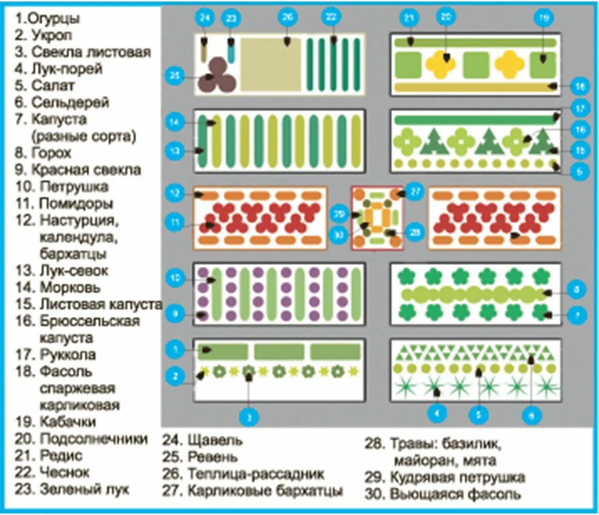 Расположение грядок схема Пин на доске Огород в 2024 г Огород, Декоративный огород, Удобрение для сада