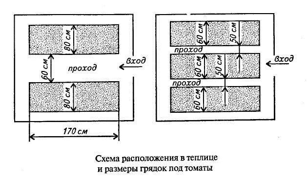 Расположение грядок схема 2 ряда грядок ДПК шириной 1 метр, высотой 15 см в теплицу, длина 4 м - купить с 