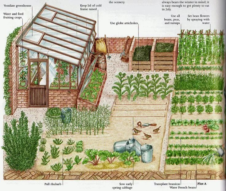 Расположение грядок схема garden plot Garden planning, Garden design plans, Garden design