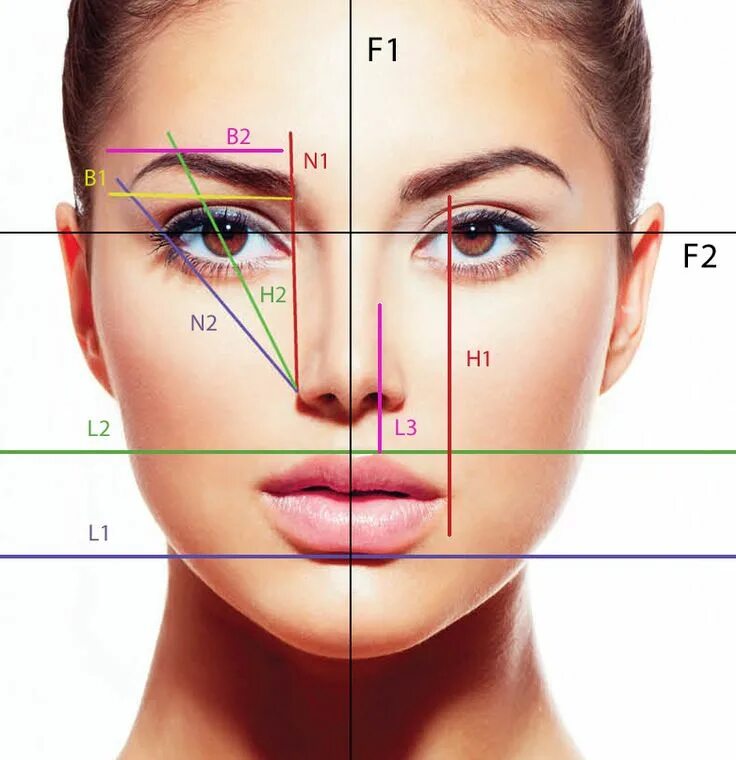 Расположение лица на фото Facial Morphology in Permanent Makeup - PMU International Permanent makeup, Eye 