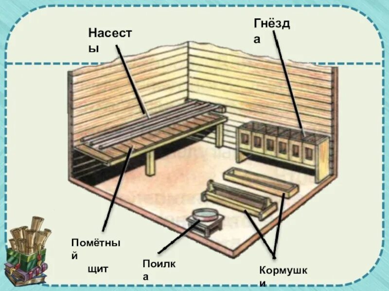 Расположение насестов и гнезд в курятнике схема Размер насеста для кур несушек фото - DelaDom.ru