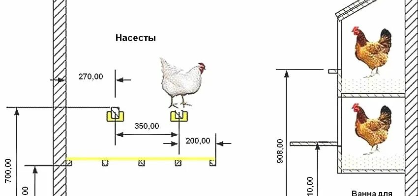 Расположение насестов и гнезд в курятнике схема Размер гнезда для кур несушек: обустройство курятника своими руками