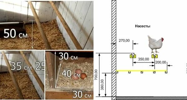 Расположение насестов и гнезд в курятнике схема Как сделать насесты для кур Курятники, Маленькие курятники, Кур