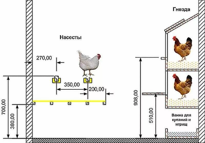 Расположение насестов и гнезд в курятнике схема Обустройство курятника: насесты, гнезда, поилки