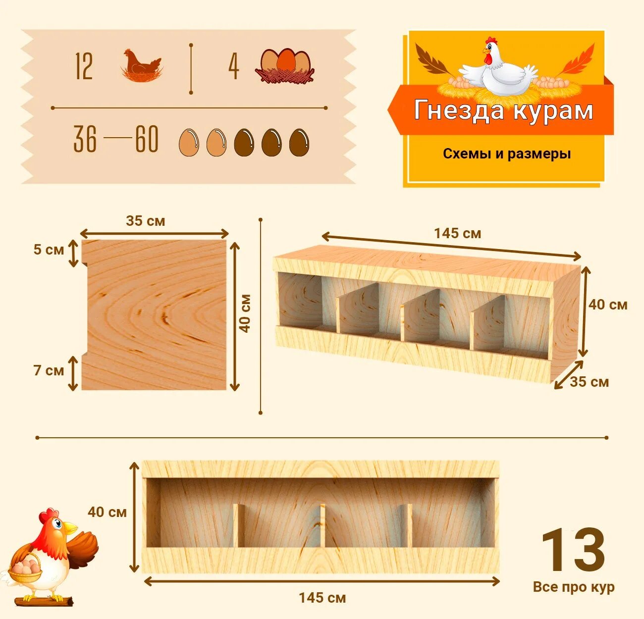 Расположение насестов и гнезд в курятнике схема 13 идей гнезд для кур несушек - схемы и размеры