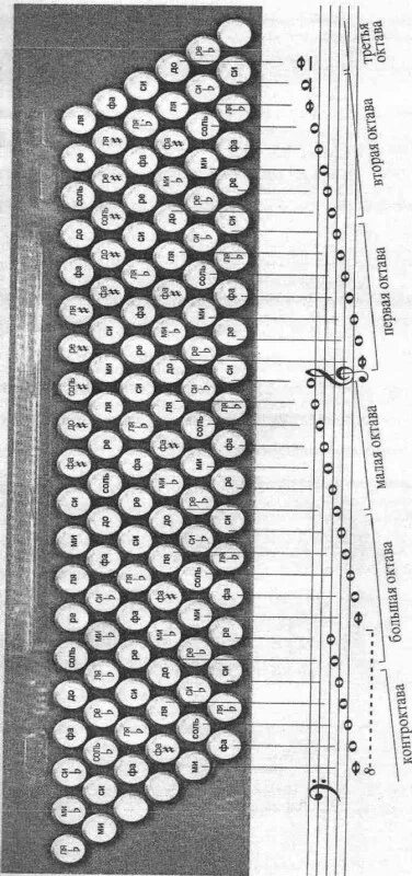 Расположение нот на баяне правая рука схема Аккордеон: что это такое и с чем его едят?: compusic - ЖЖ