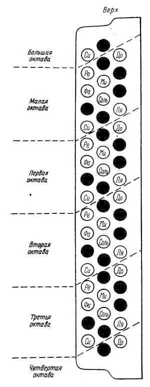 Расположение нот на баяне правая рука схема Принципы первоначального обучения на гармони