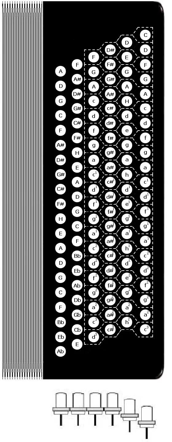 Расположение нот на баяне правая рука схема Аккордеон Кравцова Левая клавиатура - расположение кнопок