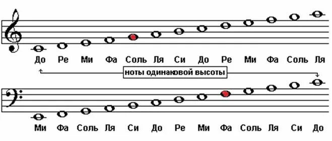 Расположение нот на руках схема Изучаем ноты басового ключа - MUSIC ACADEMY Ноты, Скрипичный ключ, Тетрадь по му