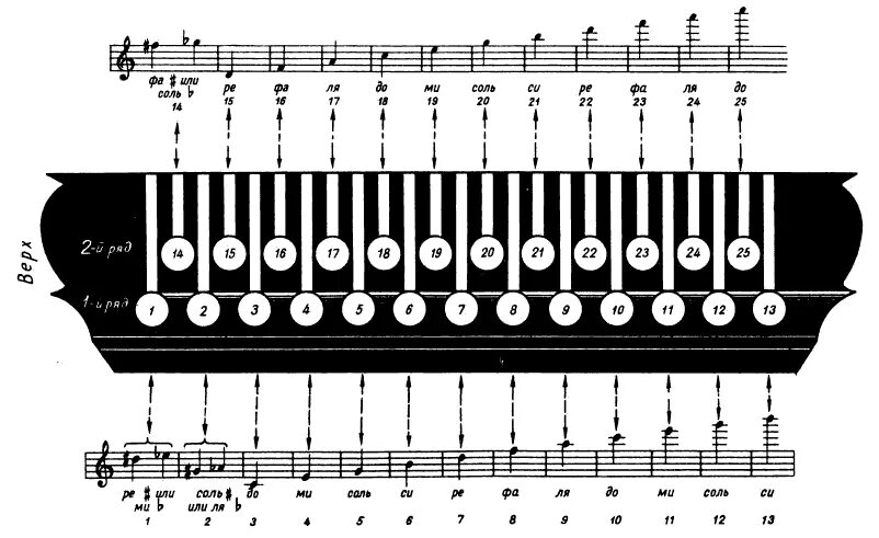 Расположение нот на руках схема Изображения к урокам игры на гармони Пой, гармоника!