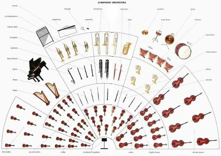 Расположение оркестра схема Symphony Orchestra Layout. While there is a widely accepted general seating patt