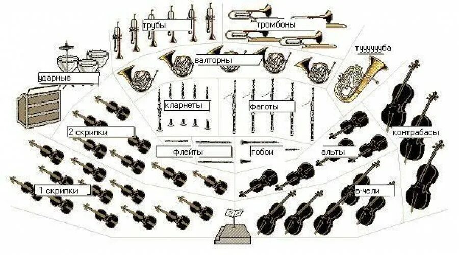 Расположение оркестра схема ЗНАКОМСТВО С ИНСТРУМЕНТАМИ СИМФОНИЧЕСКОГО ОРКЕСТРА (проект для детей 6-7 летнего