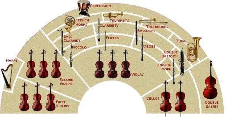 Расположение оркестра схема Состав Симфонического Оркестра Расположение Групп Рисунок (48 Фото)