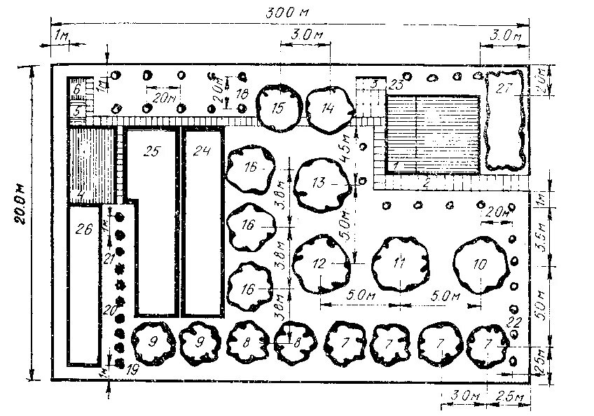 Расположение плодовых деревьев на участке схема Плодовые деревья размеры: найдено 83 картинок