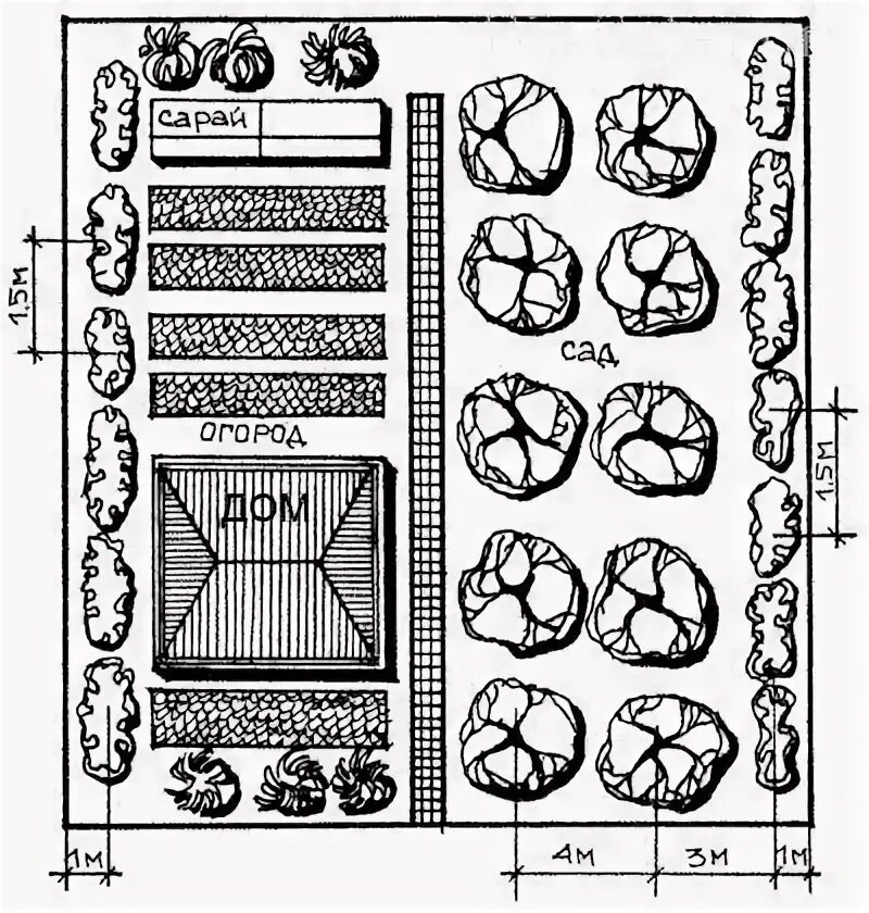 Расположение плодовых деревьев на участке схема План сада и огорода Планировка сада, Огород, Сад