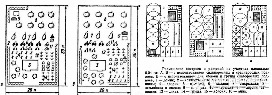 Расположение плодовых деревьев на участке схема Главные этапы посадки саженцев плодовых деревьев в открытый грунт