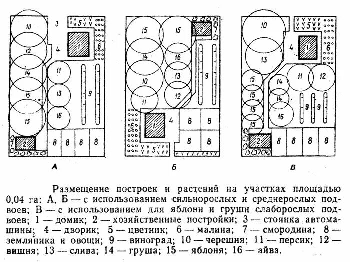 Расположение плодовых деревьев на участке схема shema-dachnogo-uchastka.gif (700 × 525) Дерево, Закладки, Дизайн