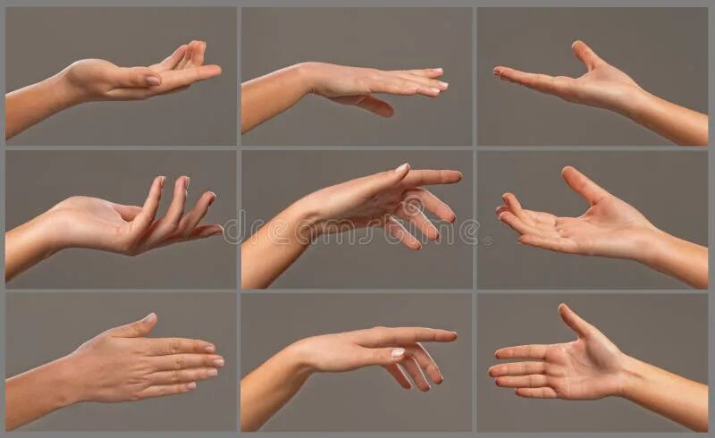 Расположение рук на фото Collage of woman hands stock image. Image of palm, indication - 43092477