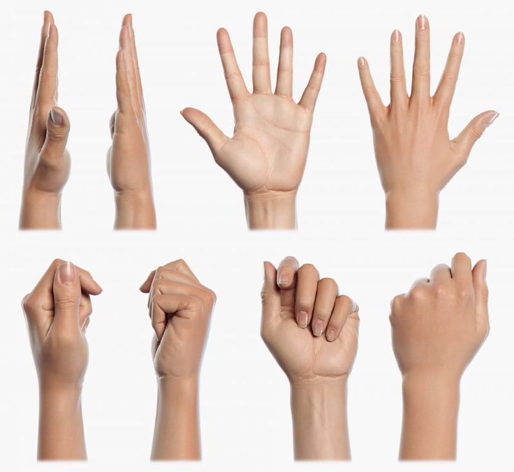 Расположение рук на фото Google Search Hand reference, Anatomy reference, How to draw hands