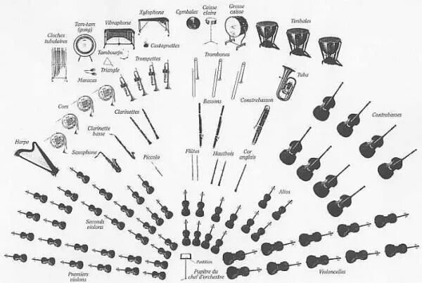 Расположение симфонического оркестра на сцене схема Quelle est la différence entre une fanfare et un orchestre Orchestre, Dessin ins