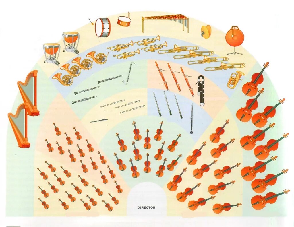 Расположение симфонического оркестра на сцене схема Instrumente des Orchesters Diagramm Diagram Quizlet