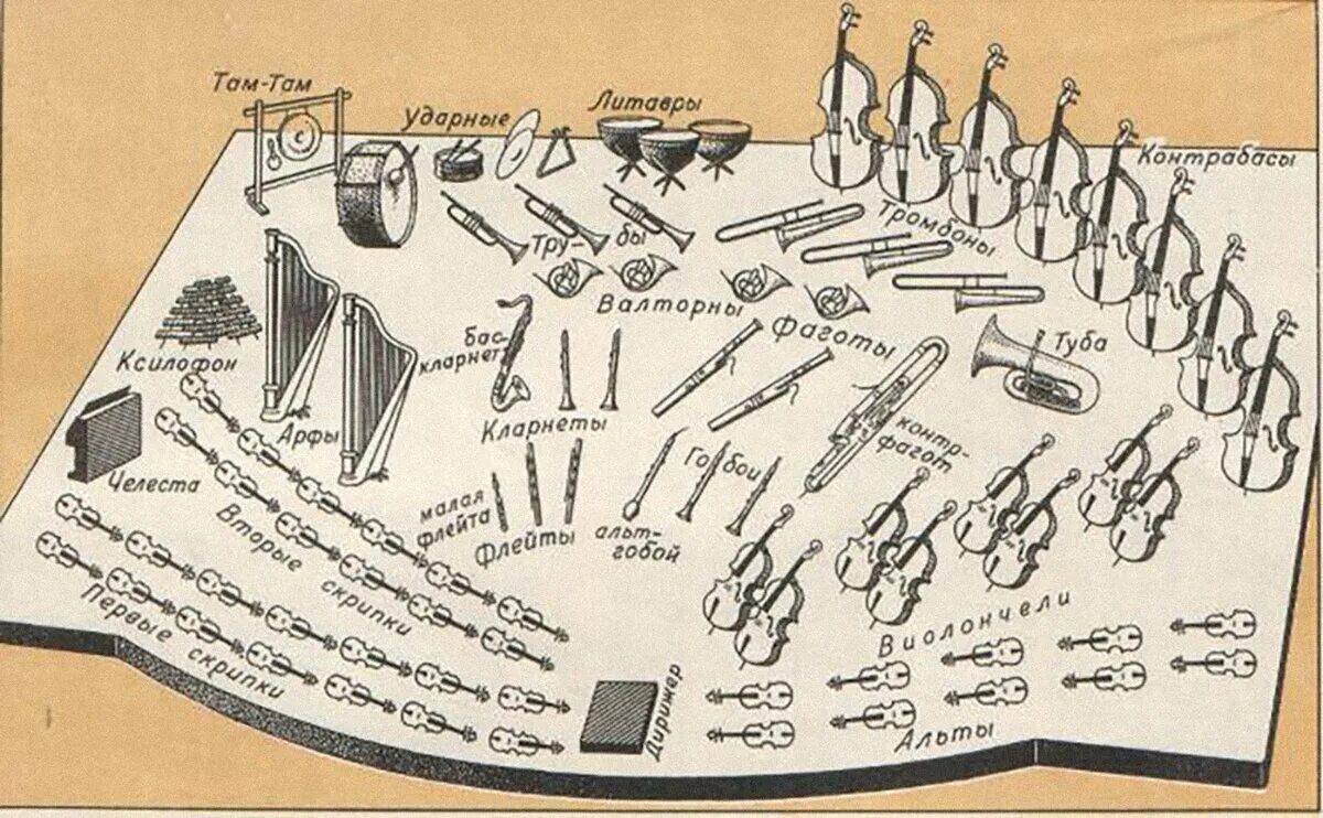 Расположение симфонического оркестра на сцене схема Живой организм - оркестр Философия для жизни Дзен