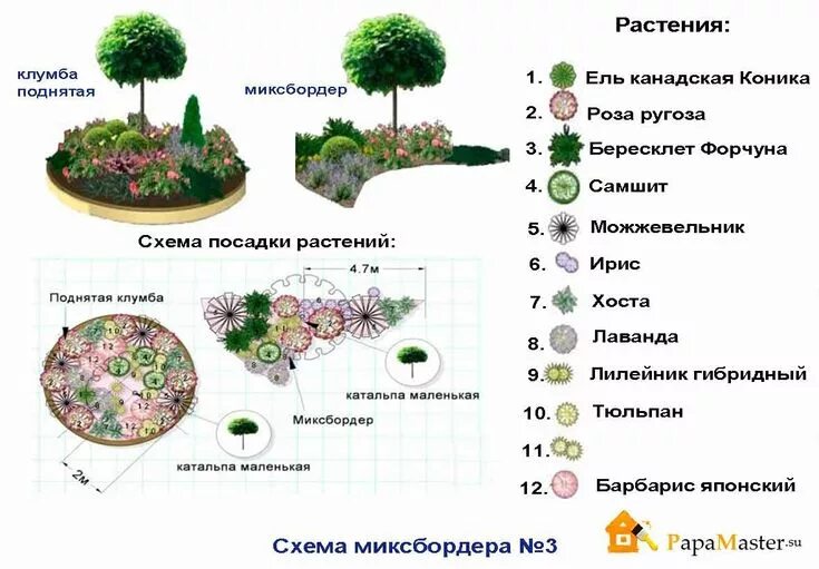 Расположение цветов схема Pin by Proshlecova on цветы Small front yard landscaping, Garden design, Creativ