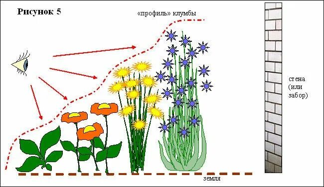 Расположение цветов схема Схема разноуровневой клумбы Цветник план, Посадка цветов, Осенний огород