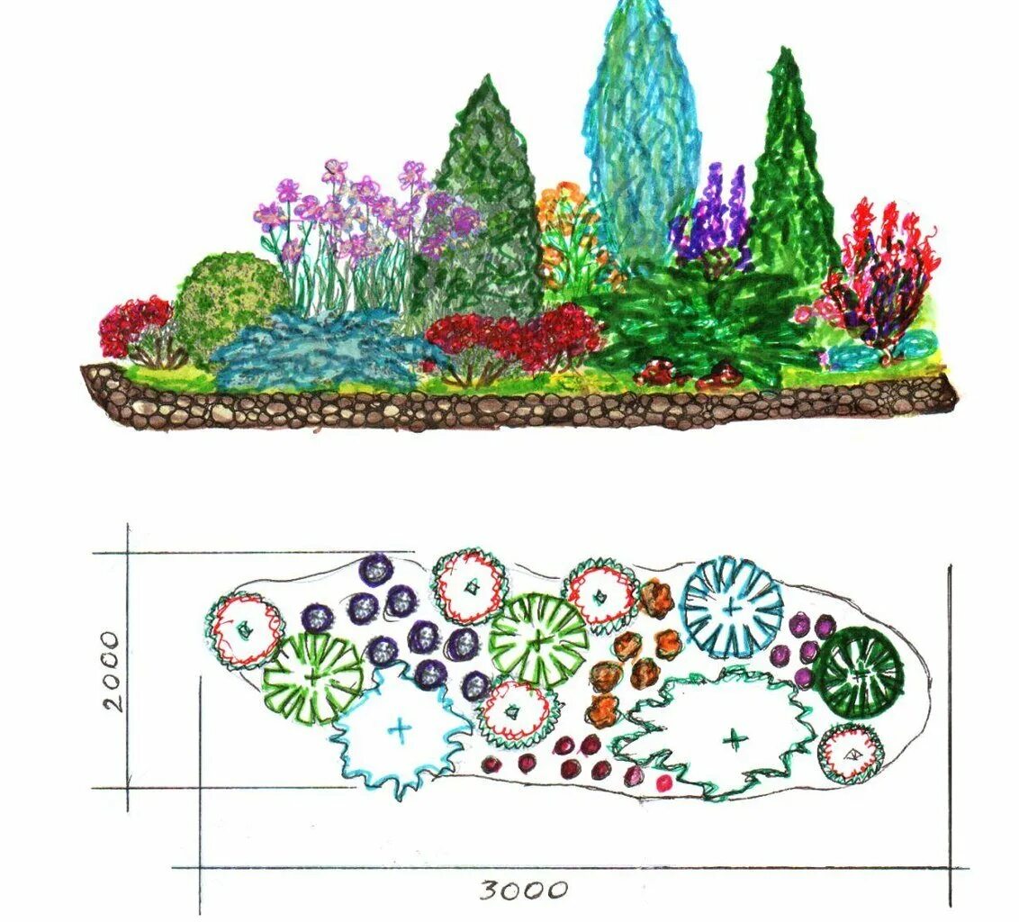 Расположение цветов схема АЛЬПИЙСКАЯ ГОРКА. ВАЖНЫЙ ЭЛЕМЕНТ ДЕКОРА В САДУ. АКАДЕМИЯ ЛАНДШАФТНОГО ТВОРЧЕСТВА