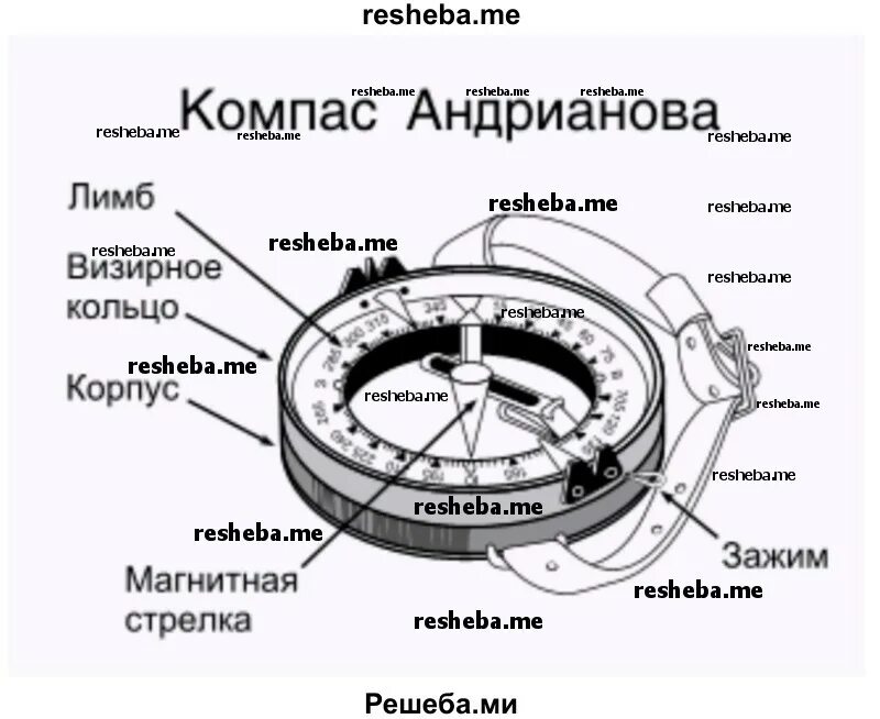 Расположения компаса схема География в Средние века (Азия). Улугбек. География в Китае