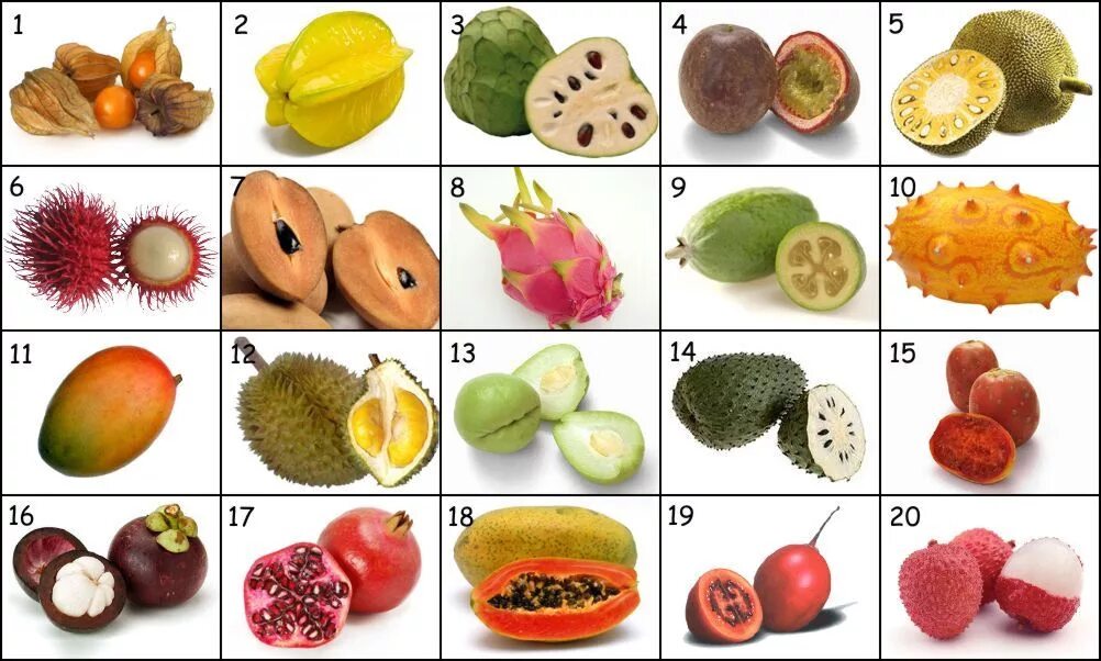 Распознать фрукт по фото онлайн exotic fruits of the world to be guessed in order The world is full of colourful