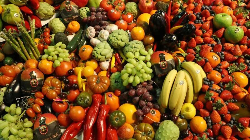 Распознать по фото овощ Is vegan diet healthy for kids? Belgian doctors say no CNN