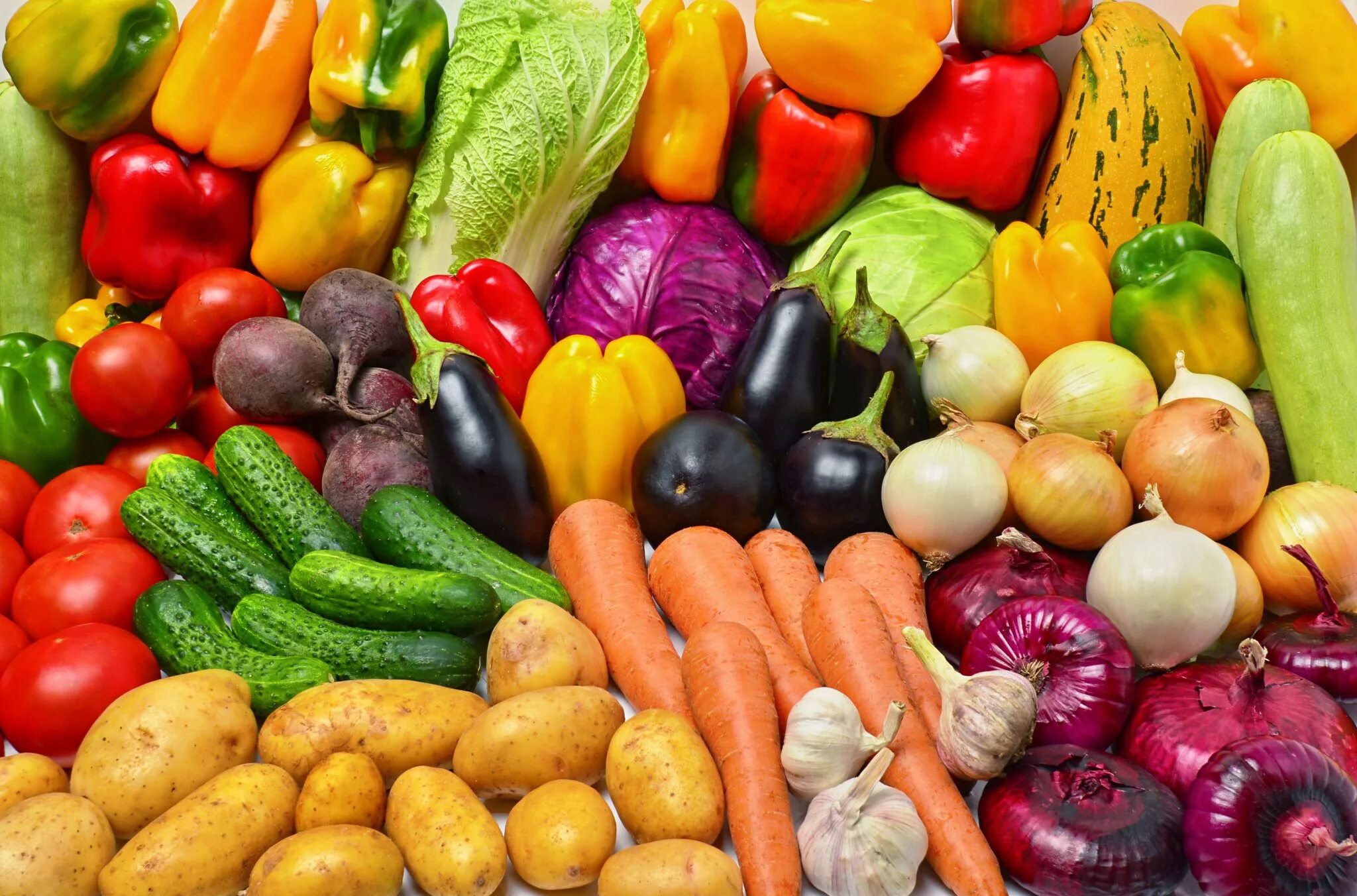 Распознать по фото овощ Кубанские продукты сохраняют лидирующие позиции в магазинах Дона Рыночный раскла