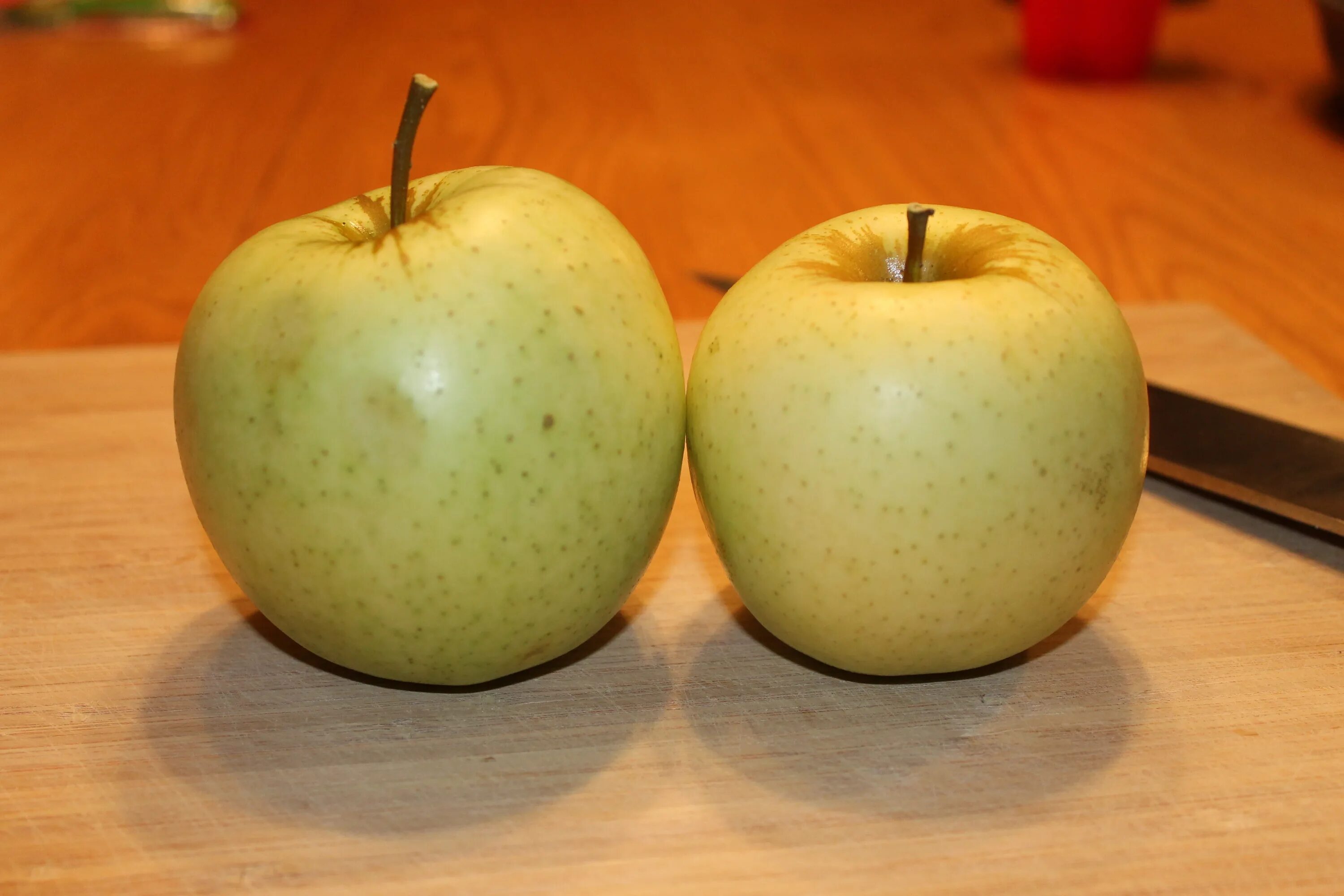 Распознать яблоко по фото Free Images : fruit, food, produce, pear, green apple, flowering plant, rose fam