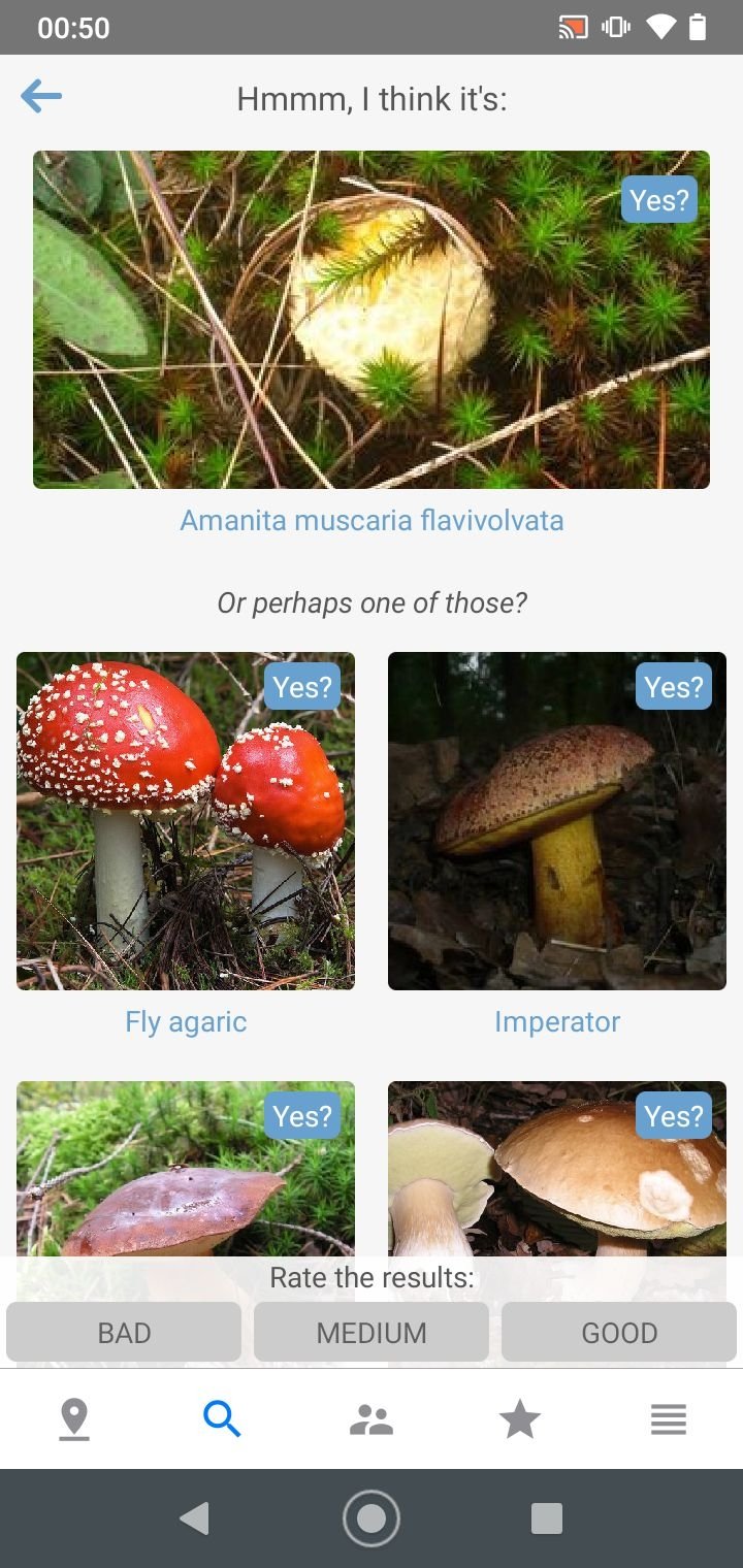 Распознавание грибов по фото онлайн Mushroom Identify APK Download for Android Free