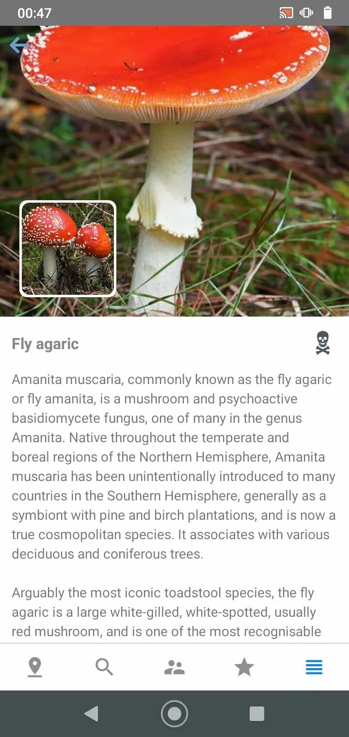 Распознавание грибов по фото онлайн Mushroom Identify 2.91 - Скачать для Android APK бесплатно