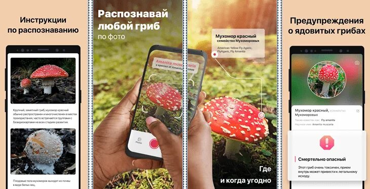 Распознавание грибов по фото скачать Picture Mushroom - Mushroom ID v2.9.11 apk Ru/Multi - Скачать apk для Андроид