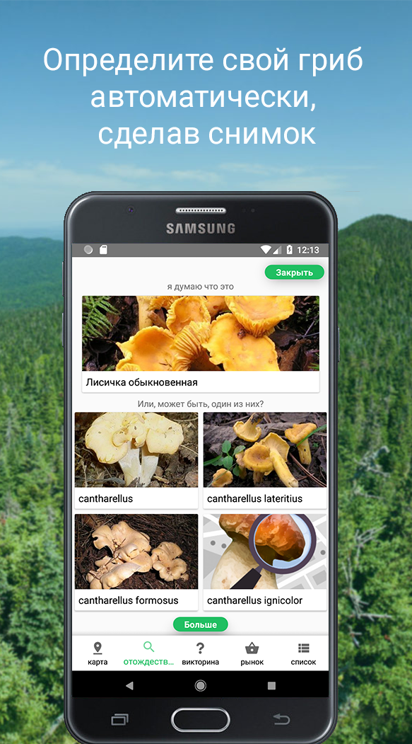 Распознавание грибов по фото скачать бесплатно Скачать Mushroom Identify (признать гриб) APK v1.75 на Андроид бесплатно