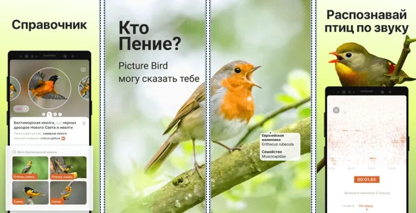 Распознавание птиц по фото Picture Bird - Bird Identifier v2.9.25 Mod by youarefinished apk Ru/Multi - Скач