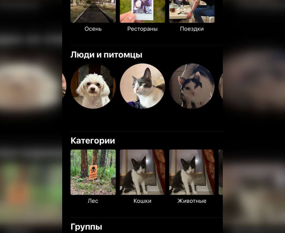 Распознавание животных по фото Провел неделю с iOS 17 и пожалел. Не повторяйте моих ошибок AppleInsider.ru