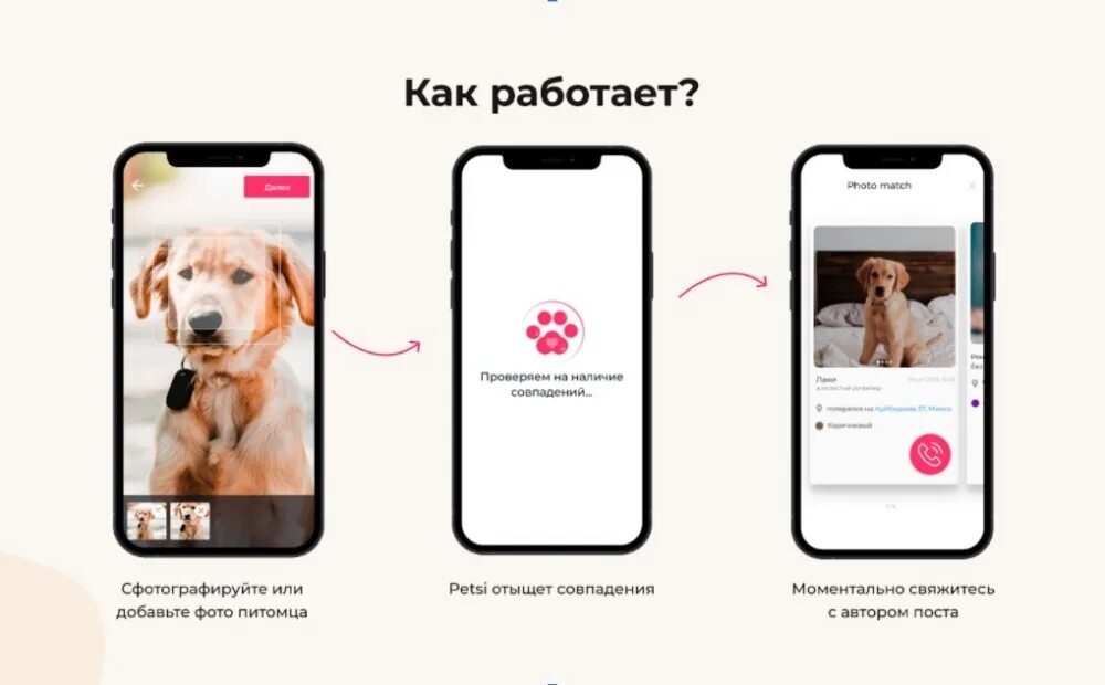 Распознавание животных по фото Появилось приложение, которое поможет найти потерявшихся домашних питомцев Общес