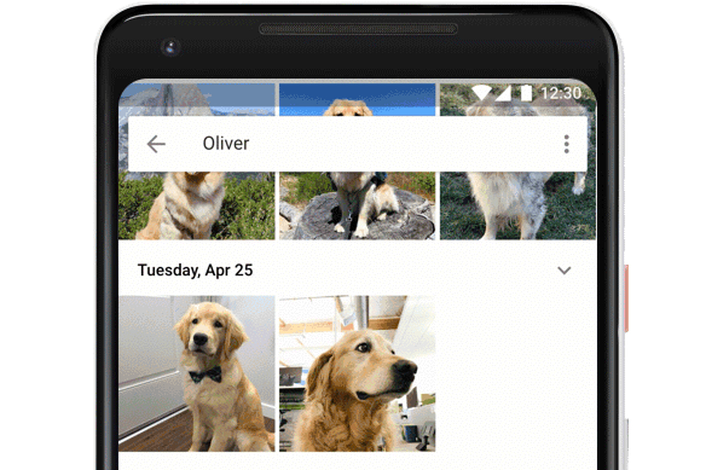 Распознавание животных по фото Google Photos now recognizes your pets - The Verge