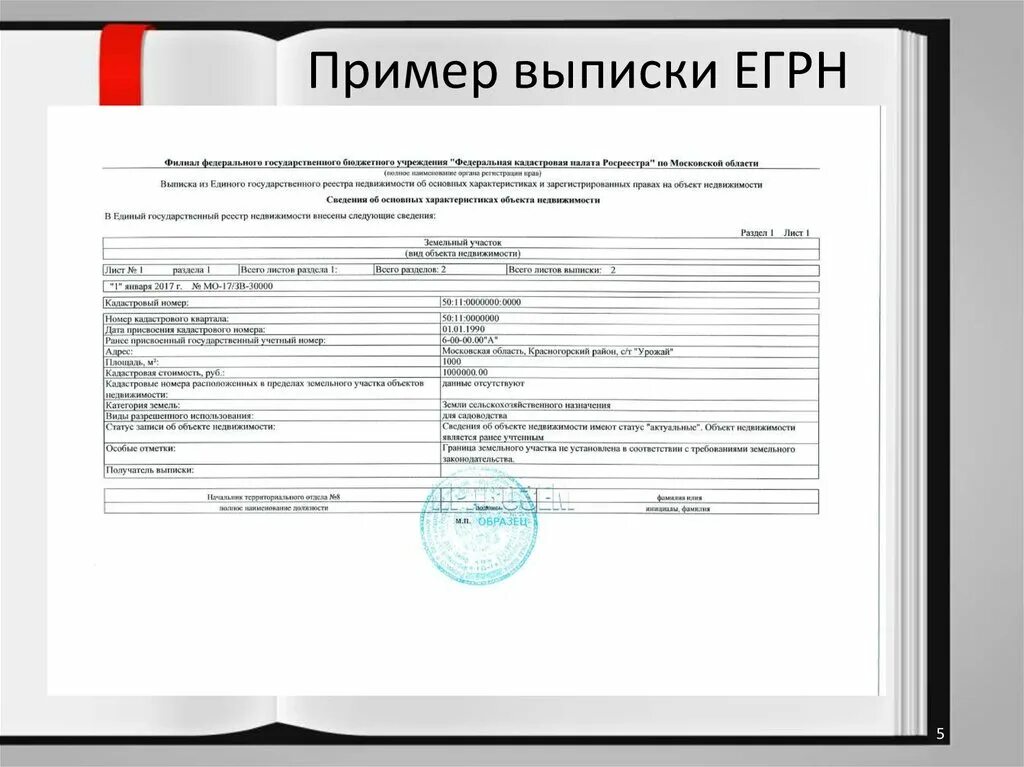 Расшифровка егрн на квартиру как выглядит Версия для печати