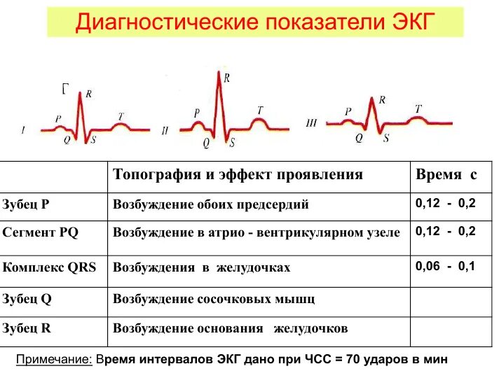 Расшифровка кардиограммы сердца онлайн по фото Что значит синусовый ритм сердца на экг