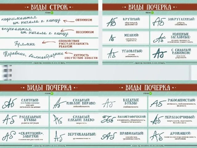 Расшифровка медицинского почерка по фото Исследовательский проект по биологии "Влияние характера на почерк человека"